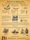 Download the stealth grower's cheat sheet to growing weed