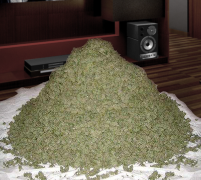 Grow your own giant pile of weed at GrowWeedEasy.com