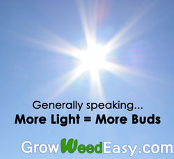 Generally speaking, when growing cannabis indoors - more light = more buds