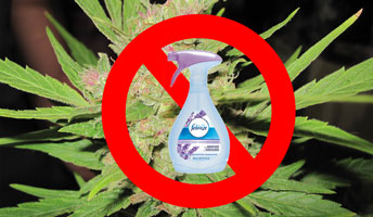Do not spray scented odor neutralizers anywhere near your plants!