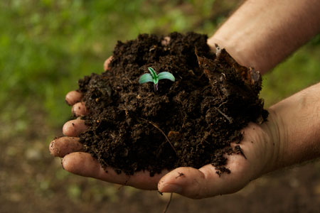 Get supplies to mix your own organic super soil